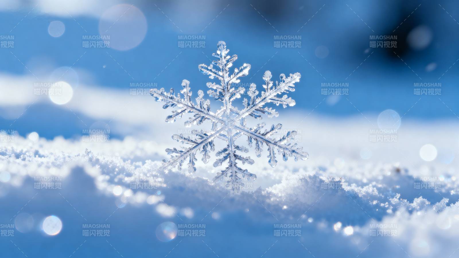 晶莹雪花静卧雪中图片