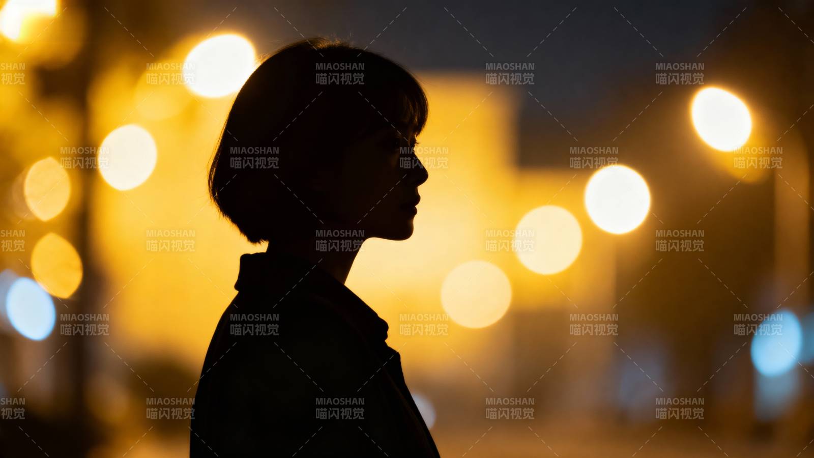 夜色中的剪影图片