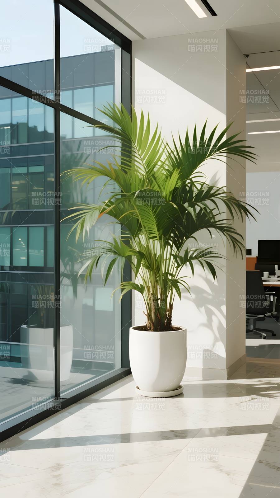 绿植点缀现代办公图片