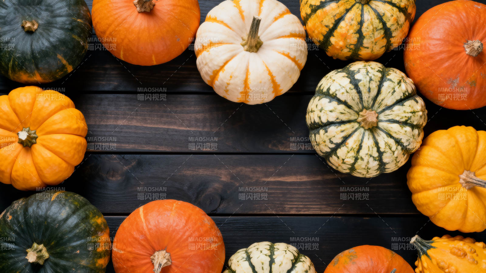 多彩南瓜静物图图片