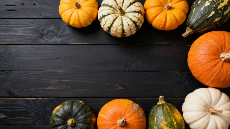 秋日南瓜静物图图片