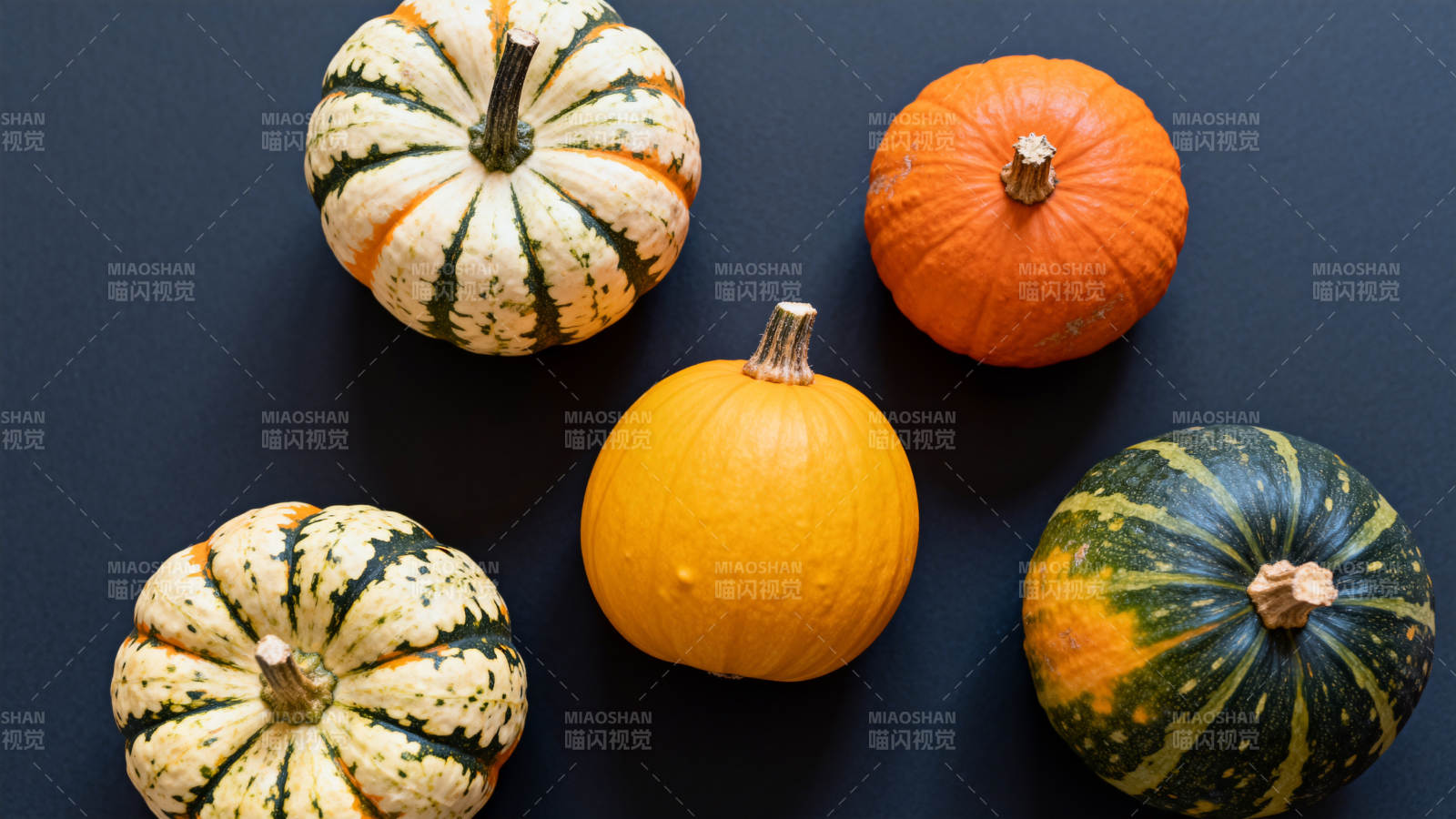 五彩南瓜静物图图片