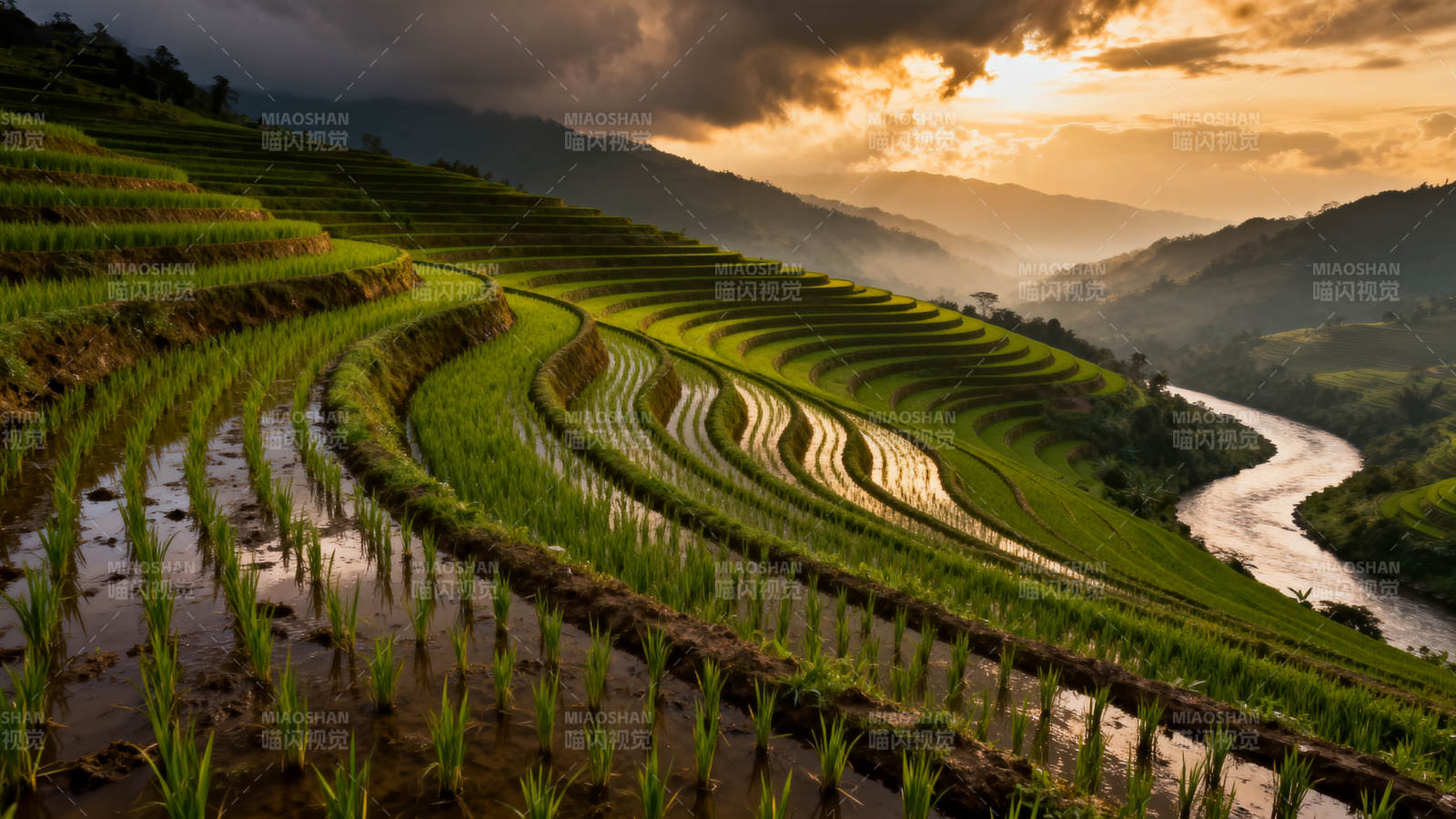梯田晨曦图片
