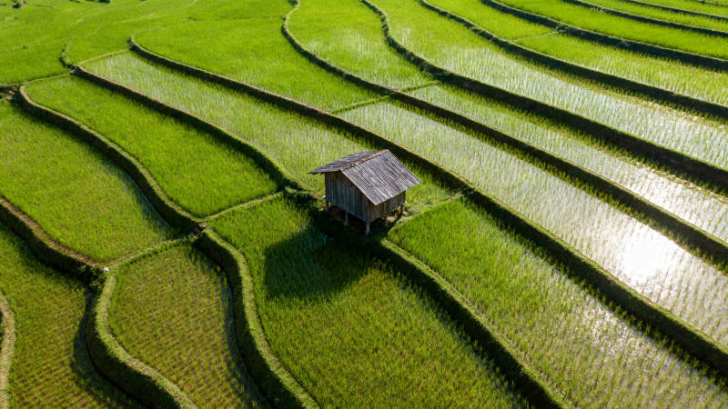 梯田上的小屋图片