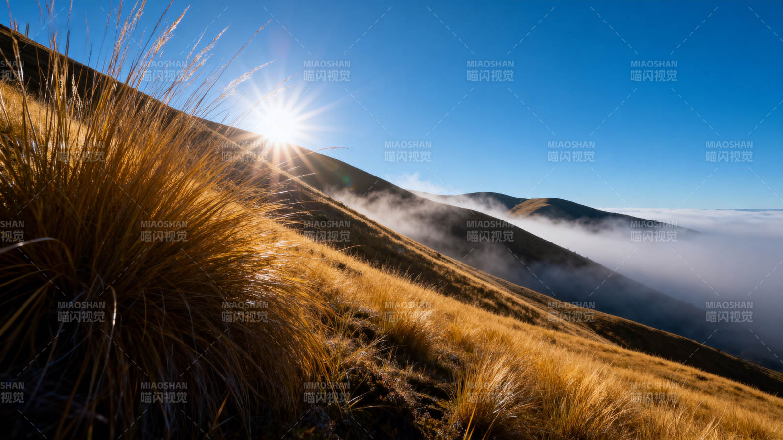 山巅日出云海图片