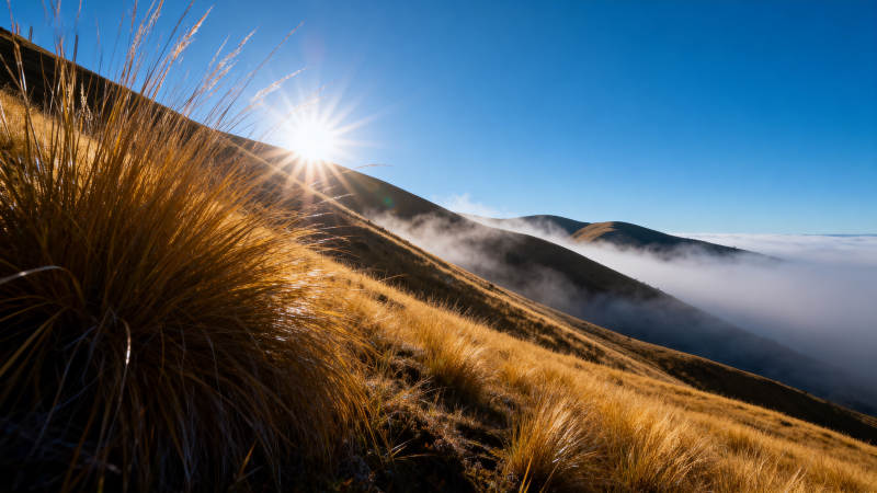 山巅日出云海图片