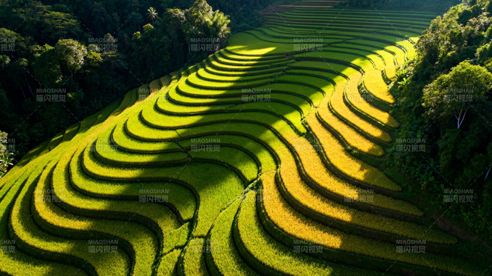 梯田风光图片