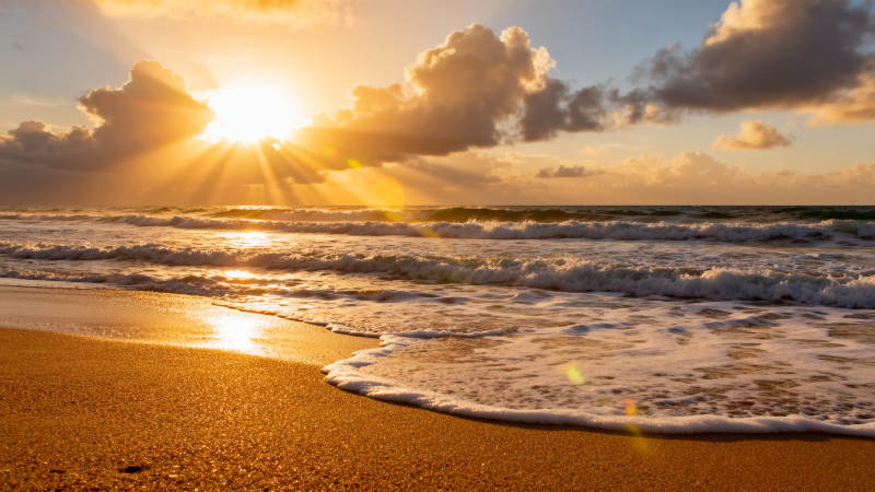 金色海滩日落图片