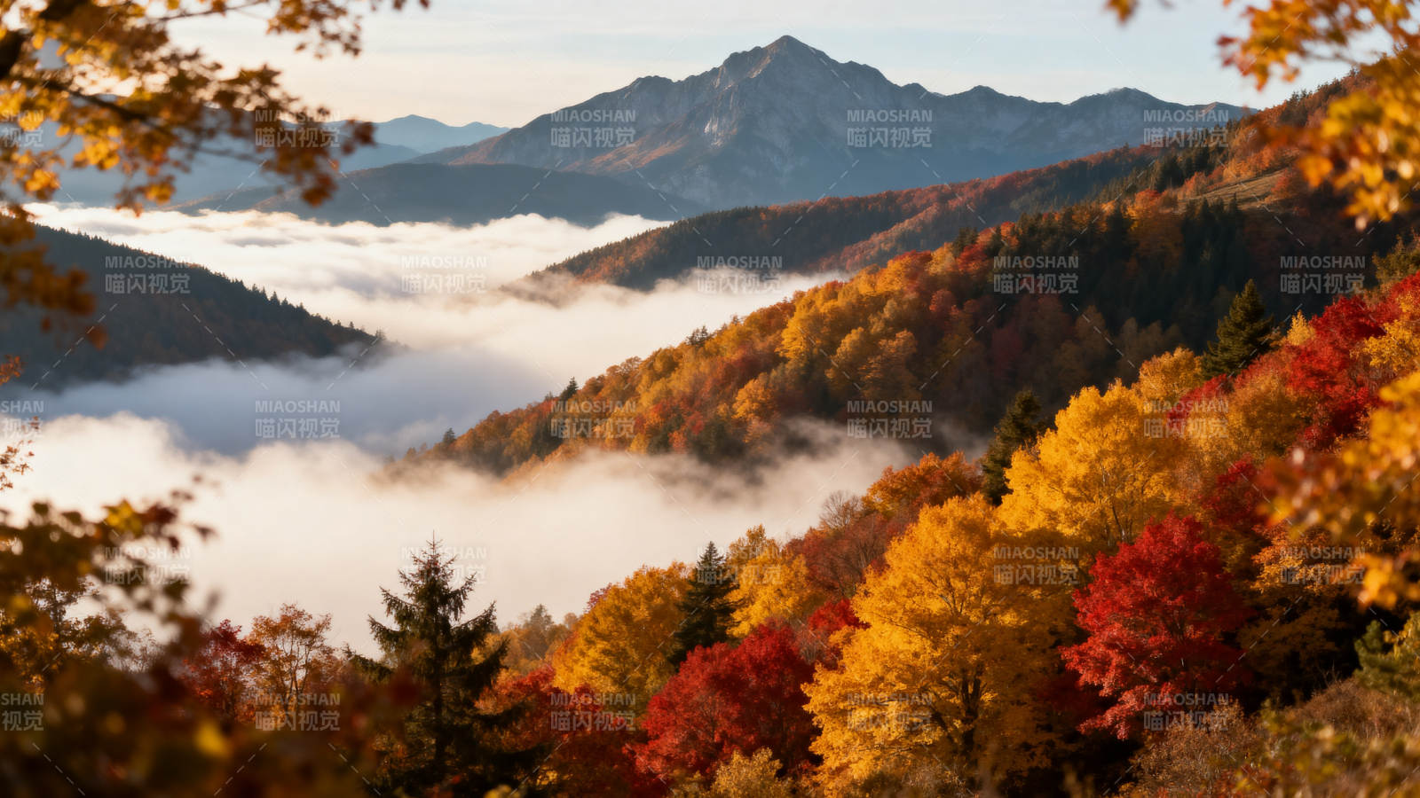 秋山云海图片