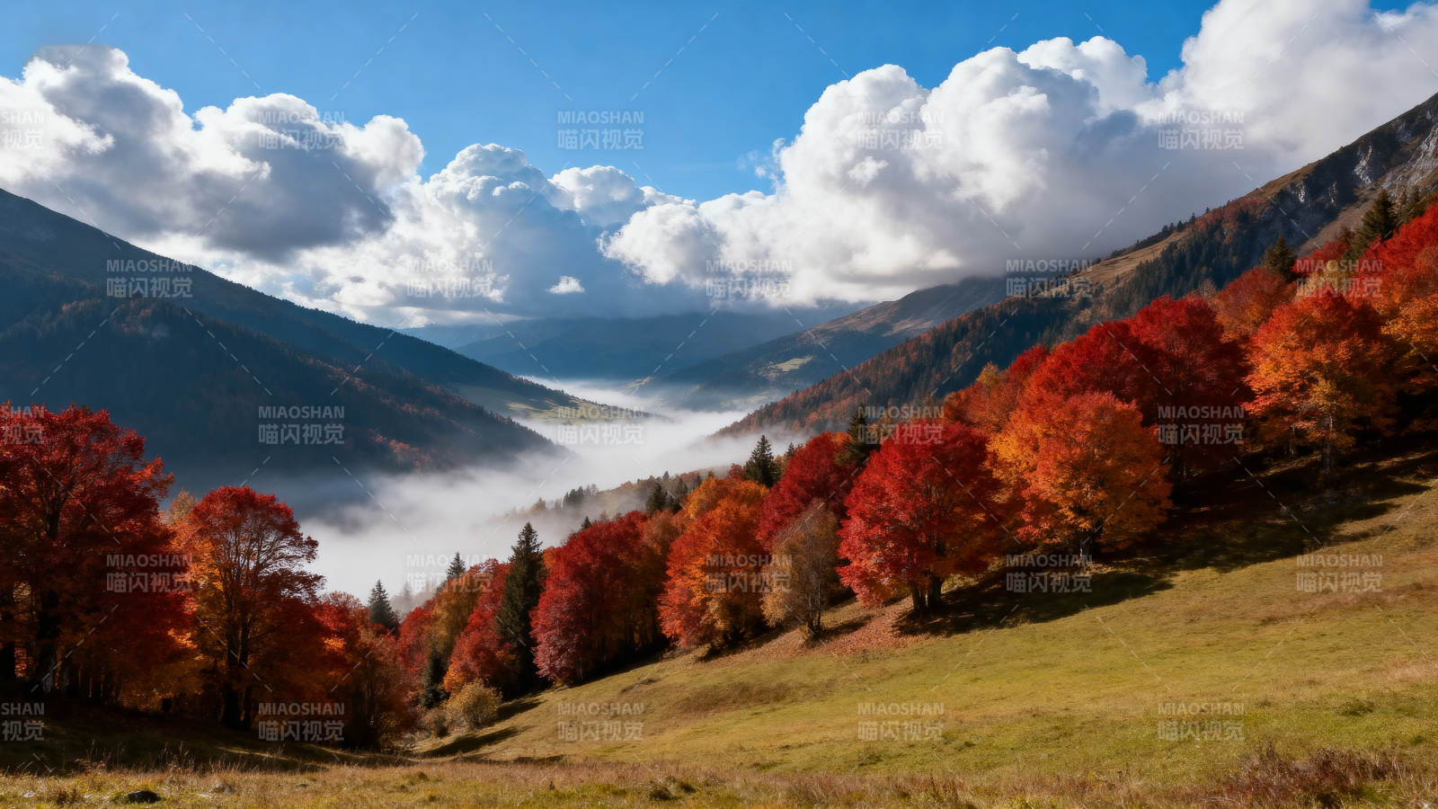 秋山云海美景图片