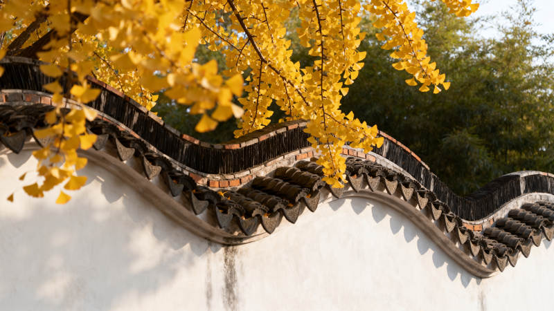 秋叶映古檐图片