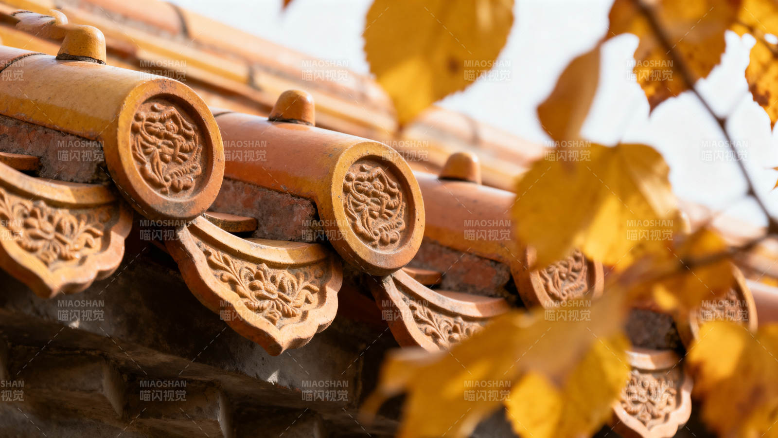 秋叶映古檐图片