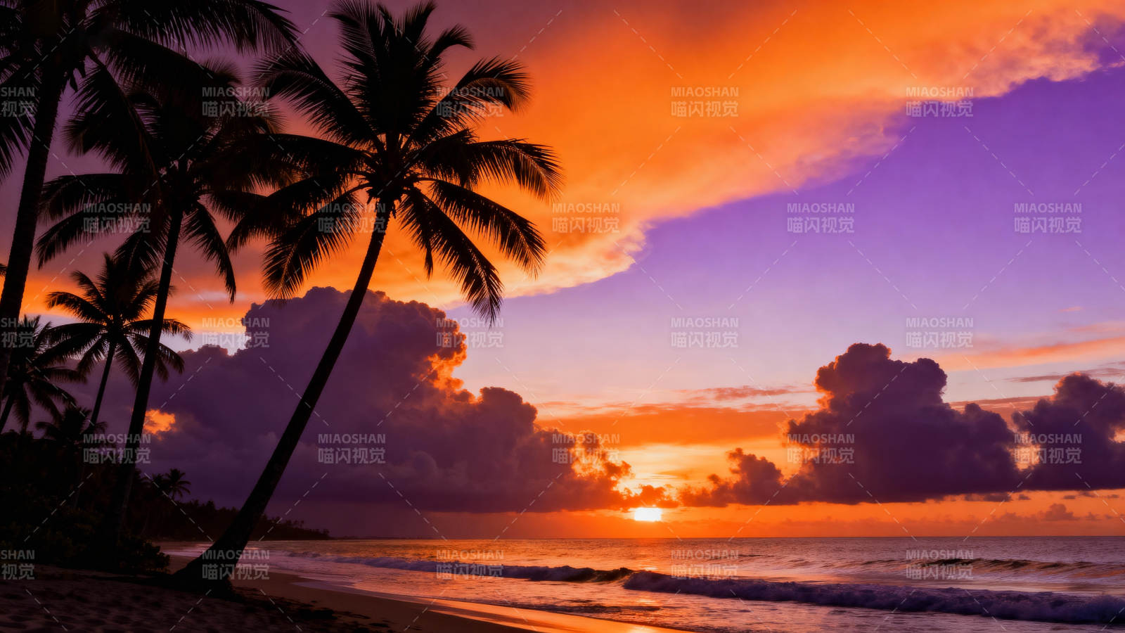 热带日落椰影图片