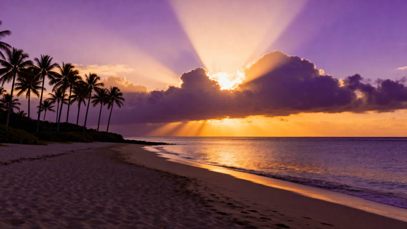 夕阳海滩美景图片