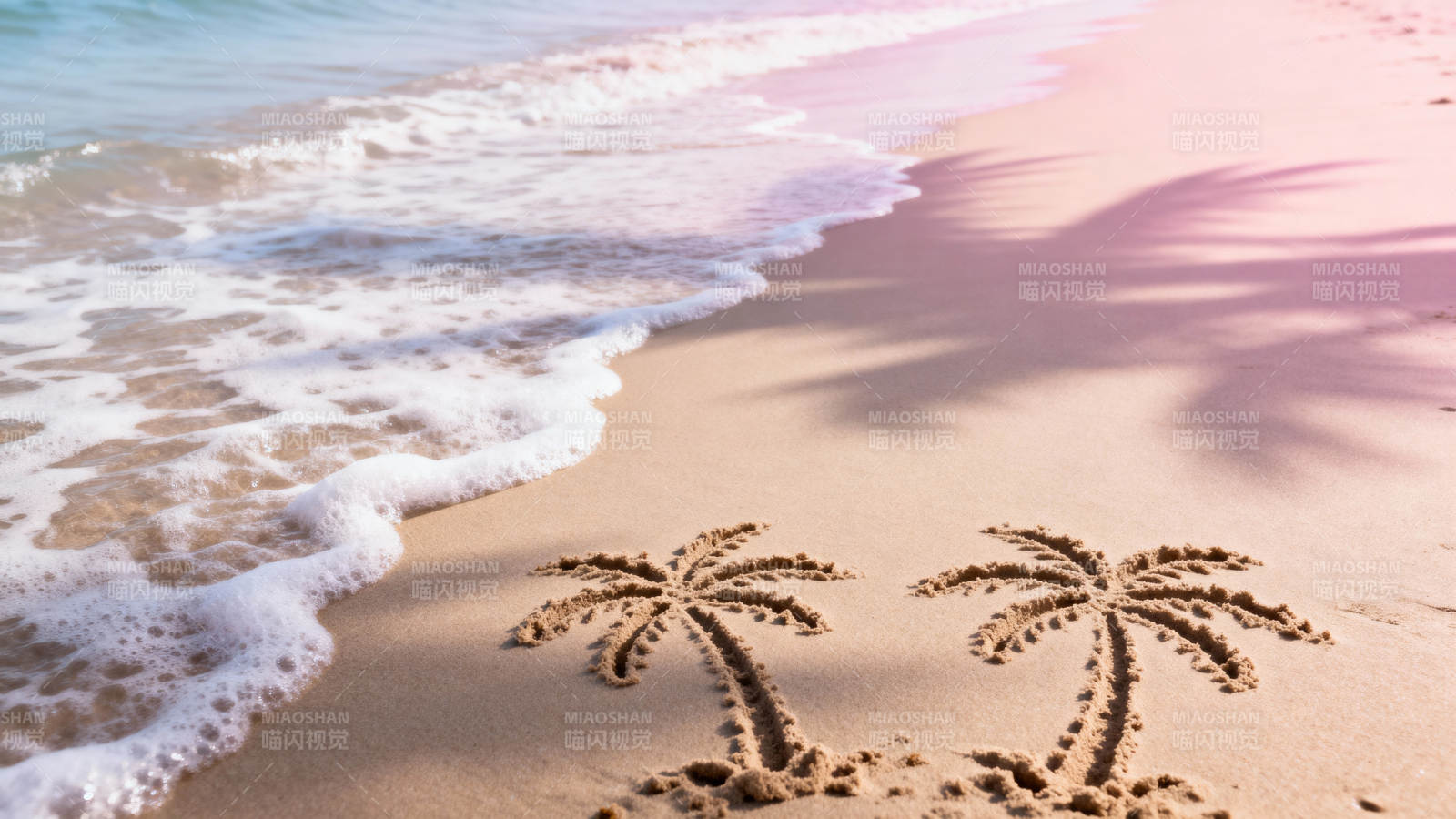 沙滩上的椰树影图片