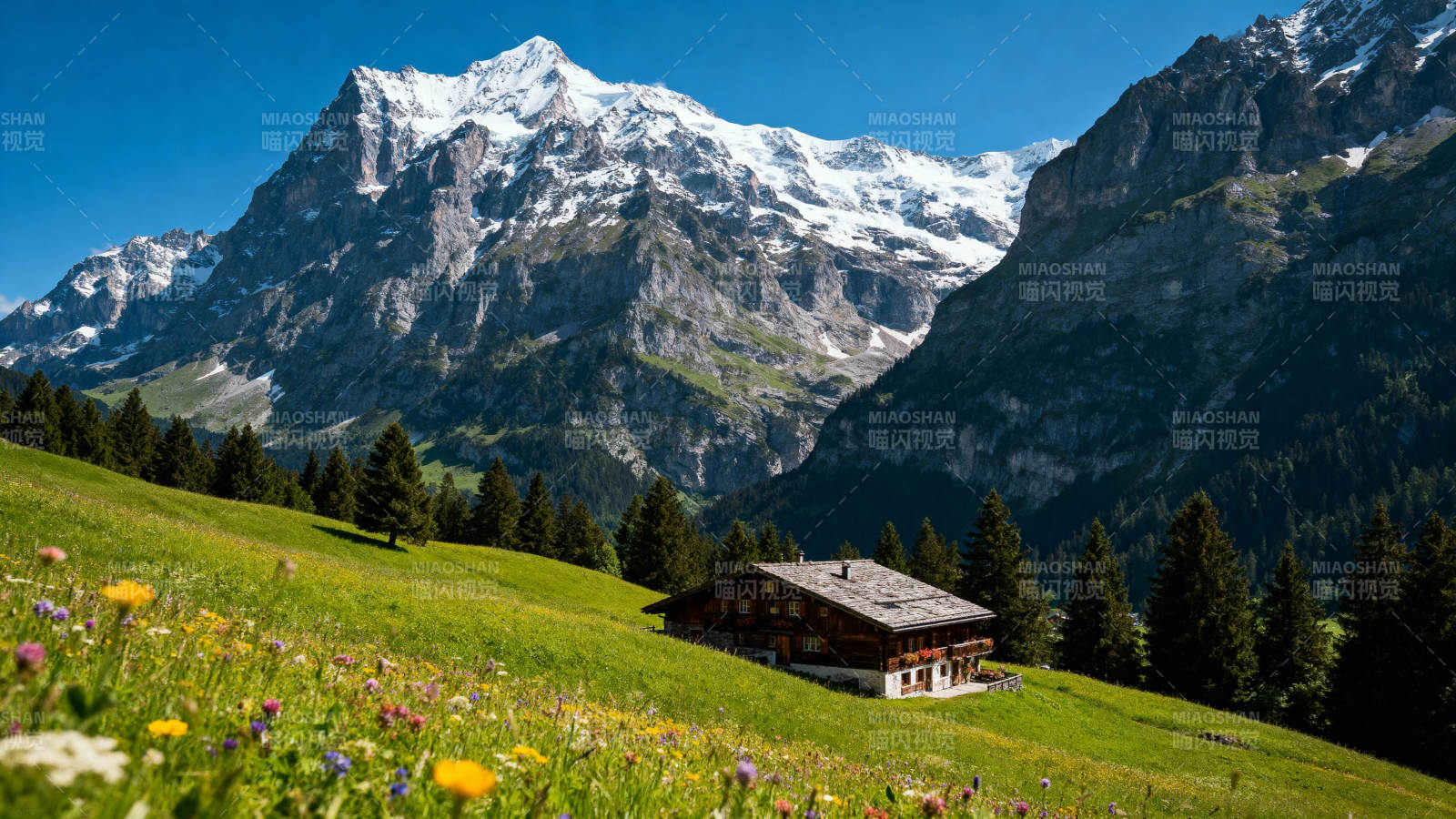 阿尔卑斯山下小屋图片
