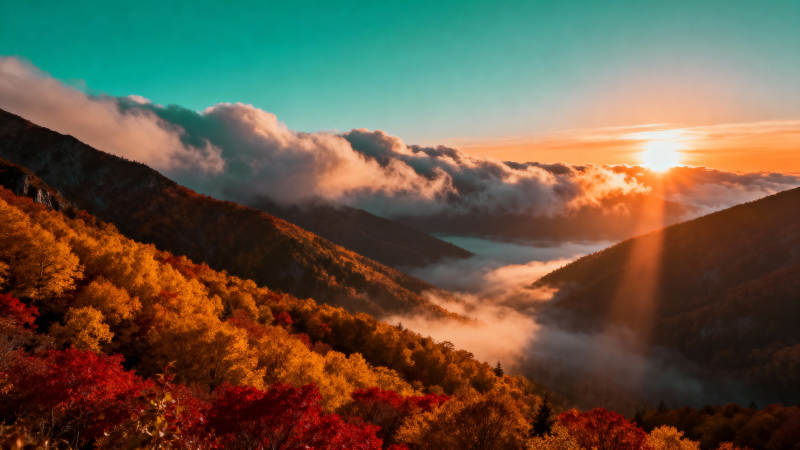 秋山晨曦云海图片