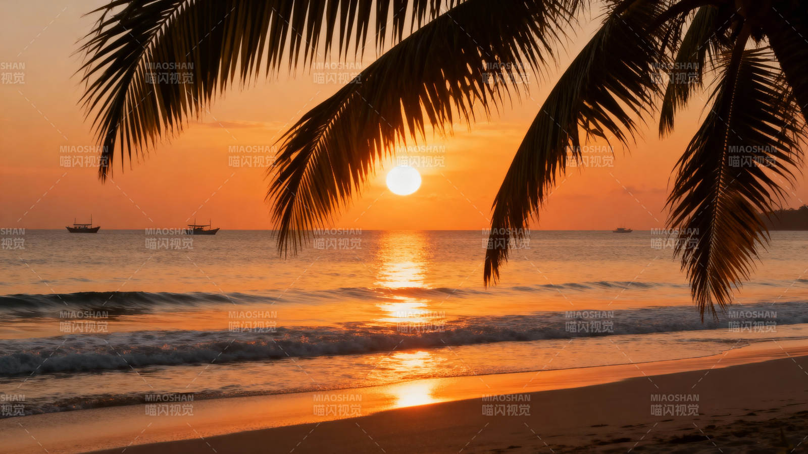 椰影夕阳海景图片