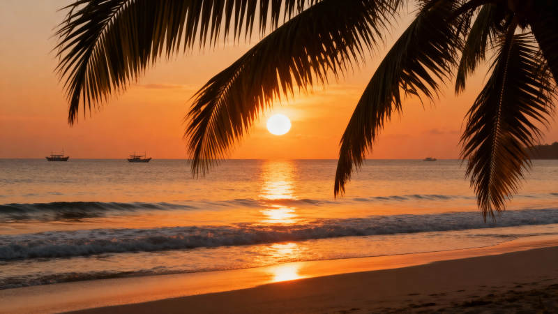 椰影夕阳海景图片