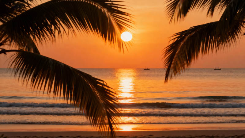 椰影夕阳海景图片