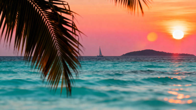 夕阳下的热带海景图片