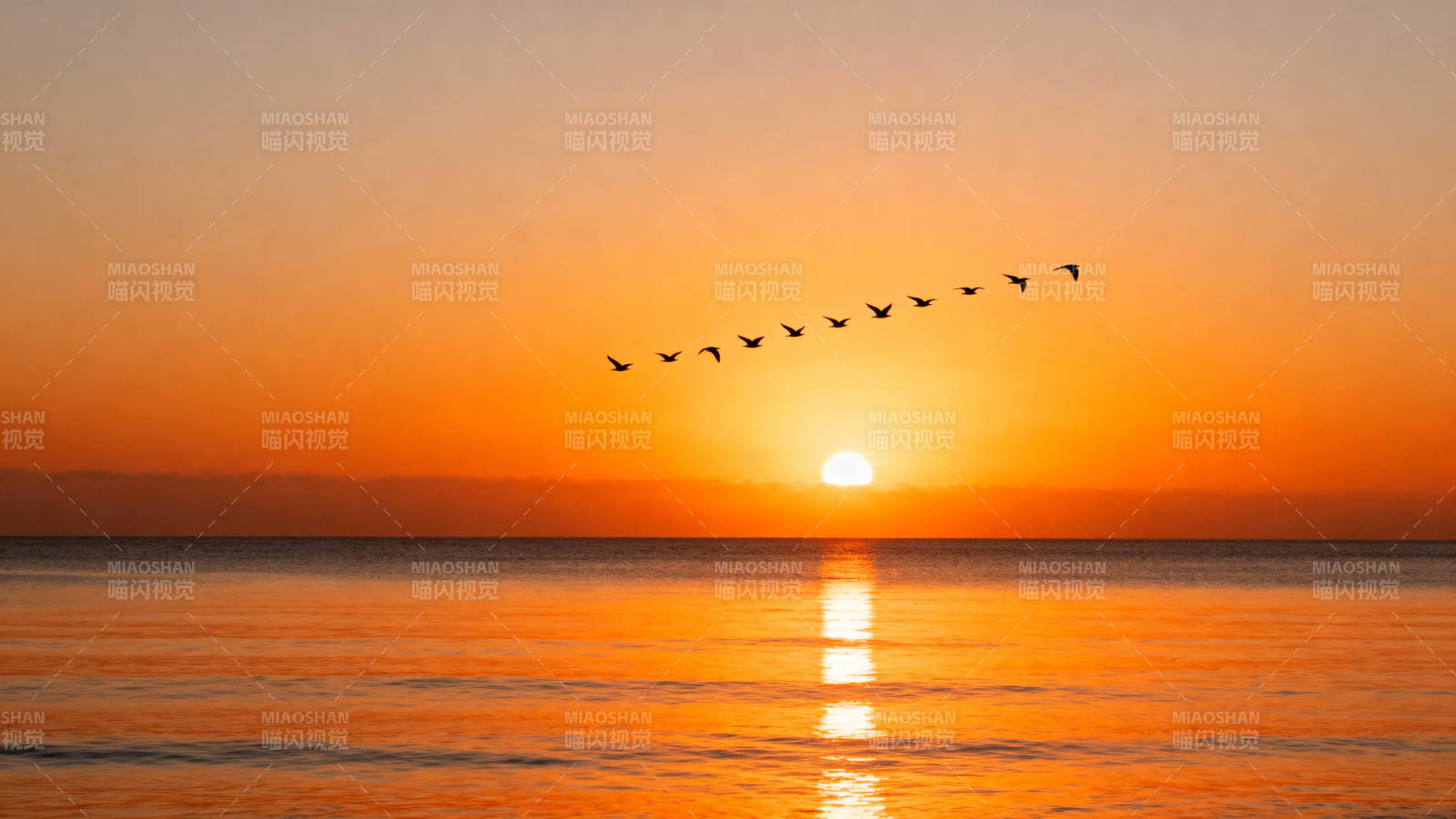 飞雁归日落海平图片