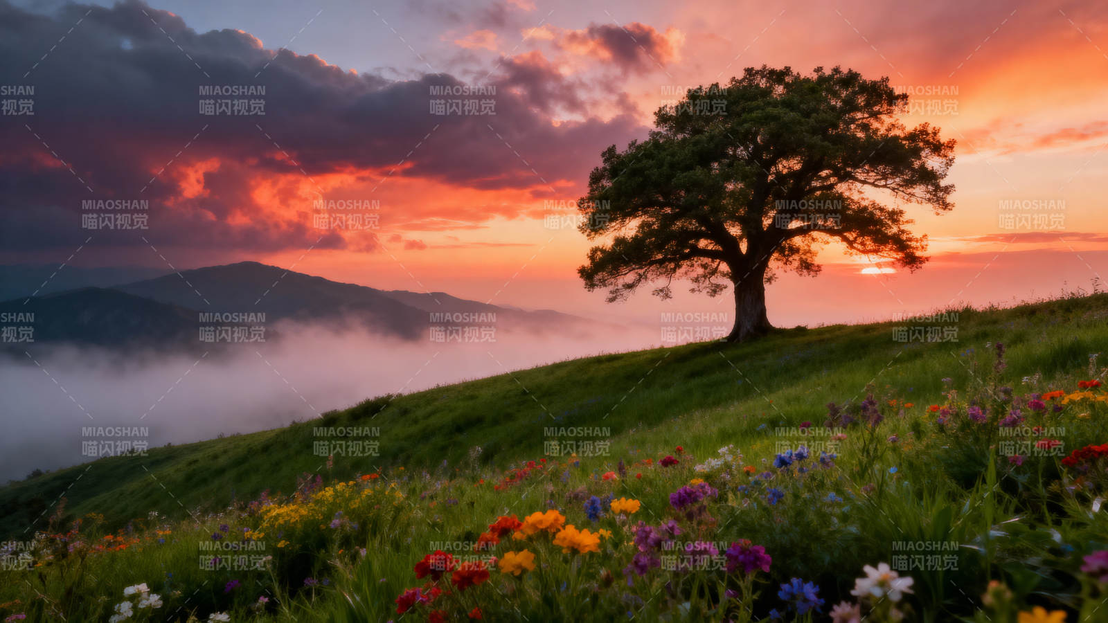 孤树映霞光图片