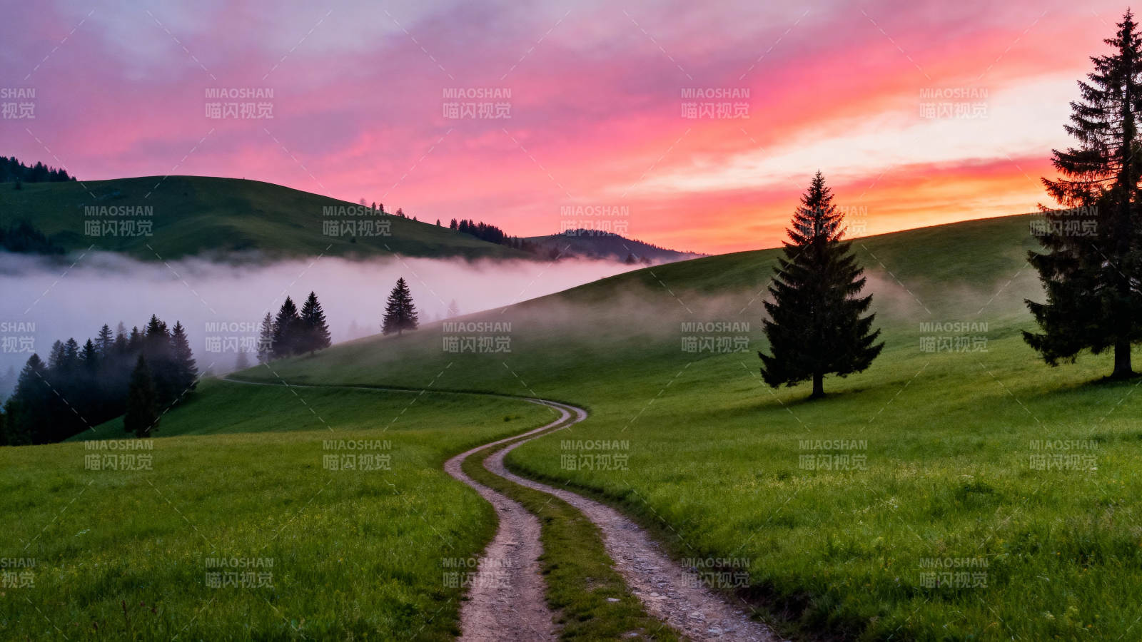 晨雾中的蜿蜒小径图片