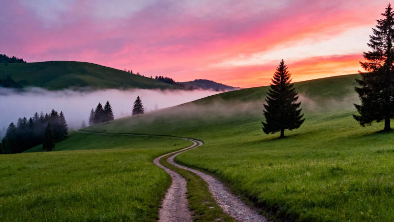 晨雾中的蜿蜒小径图片