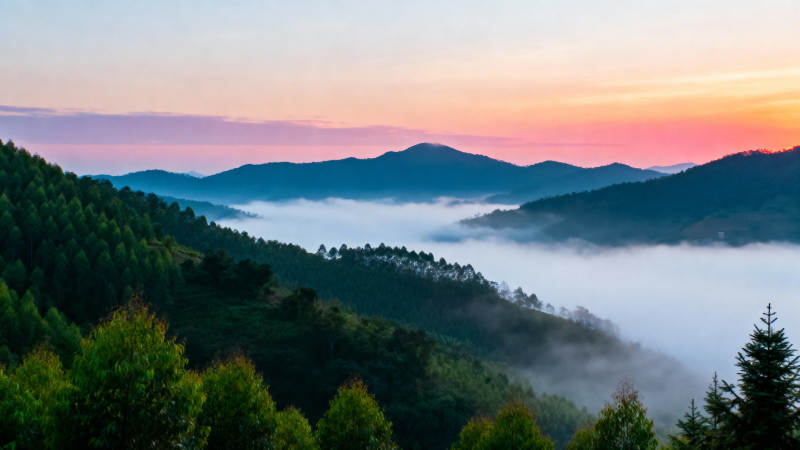 晨雾山林美景图片