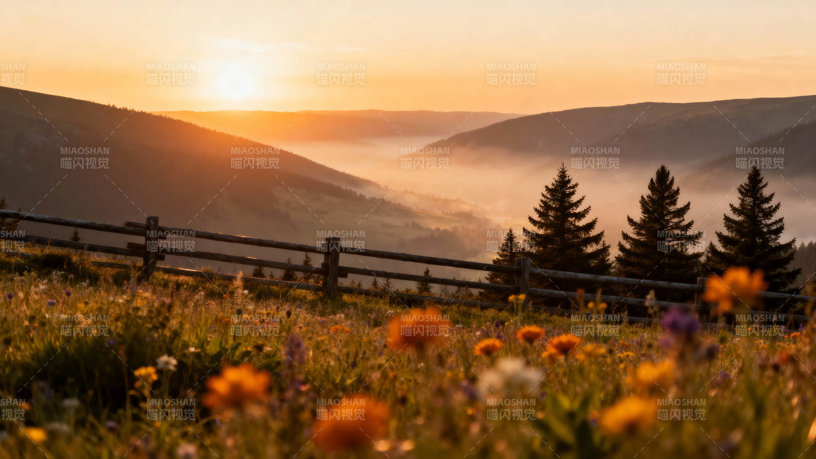 晨曦花海山景图片