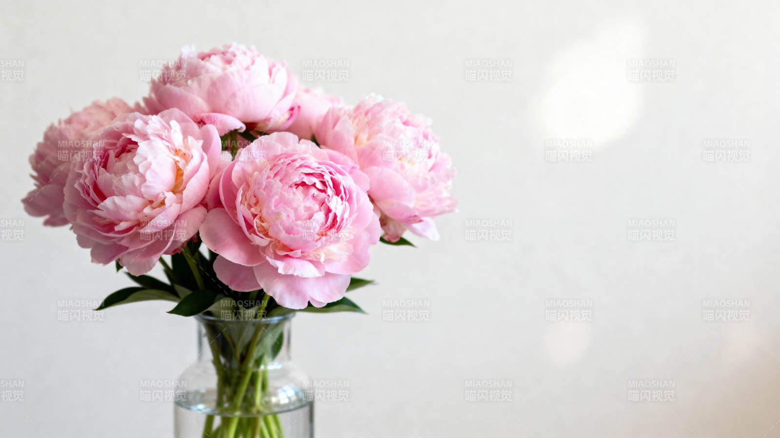 粉玫瑰花束图片