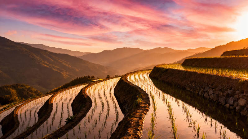 梯田日落美景图片
