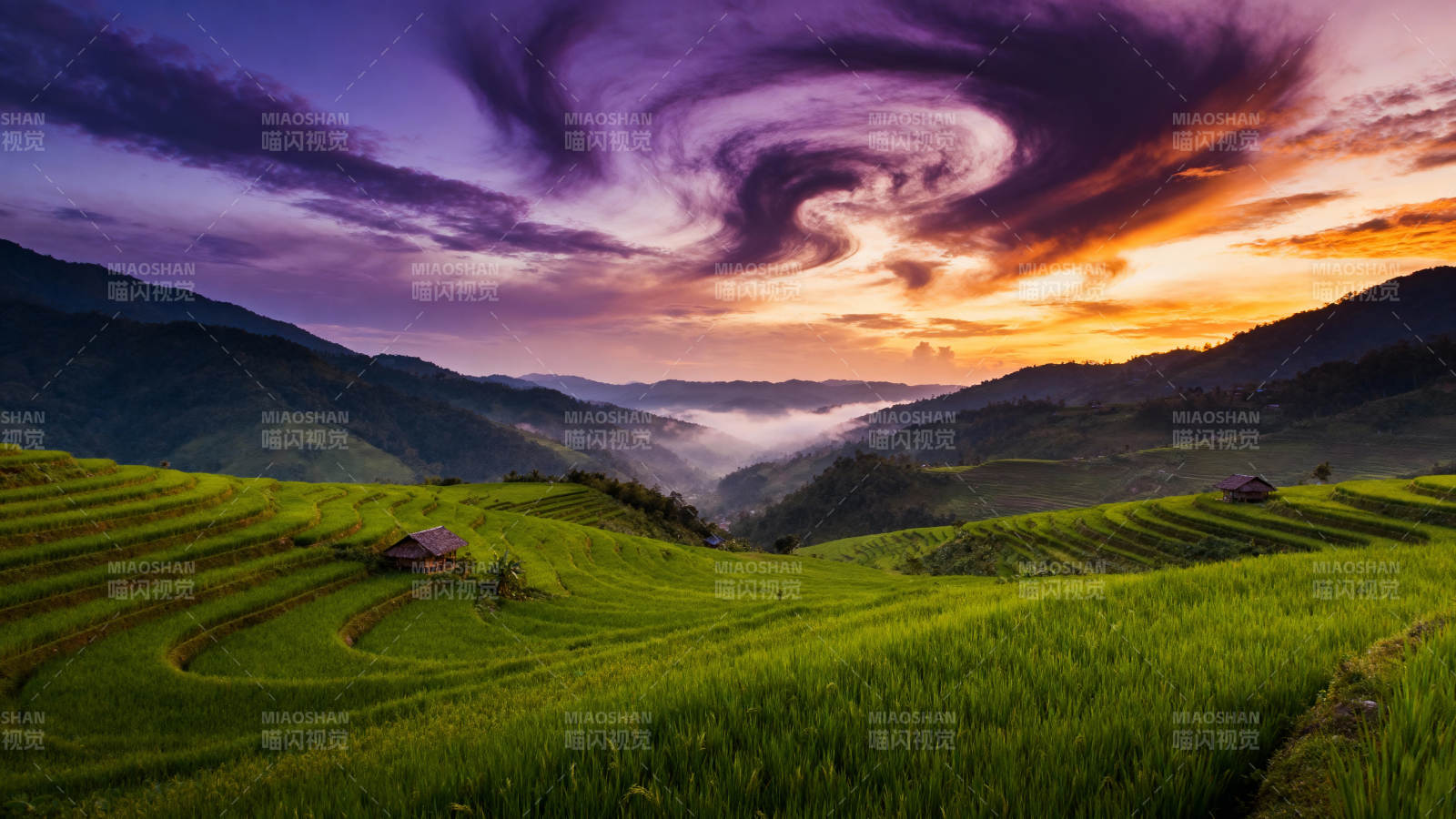 梯田晨曦云海图片