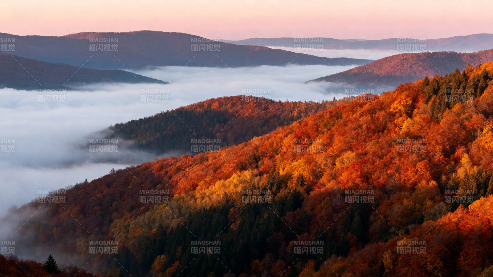秋山雾海晨曦图片
