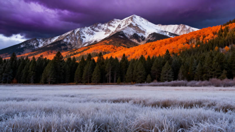 雪山秋色 霜草如银图片