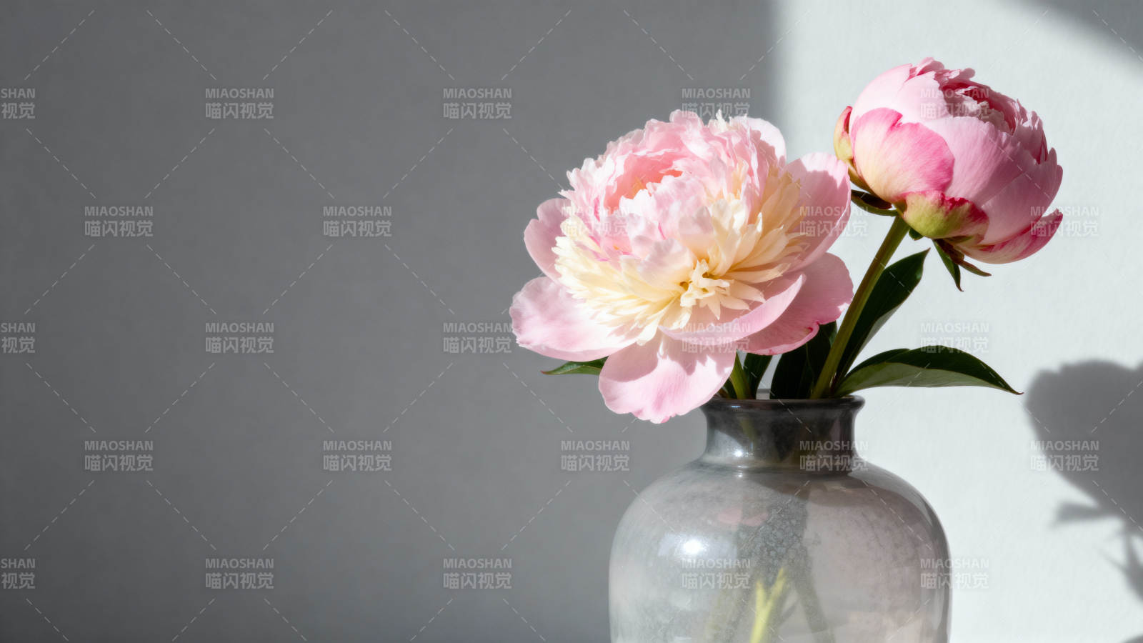 粉花静置瓶中图片