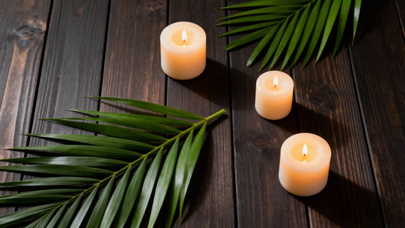 烛光与棕榈叶图片