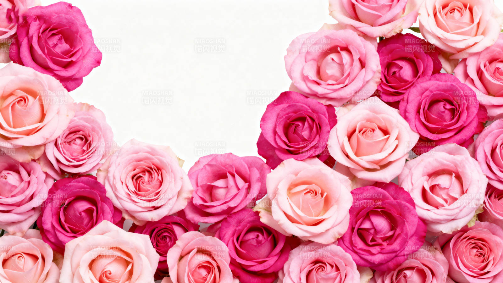 玫瑰花心形图案图片