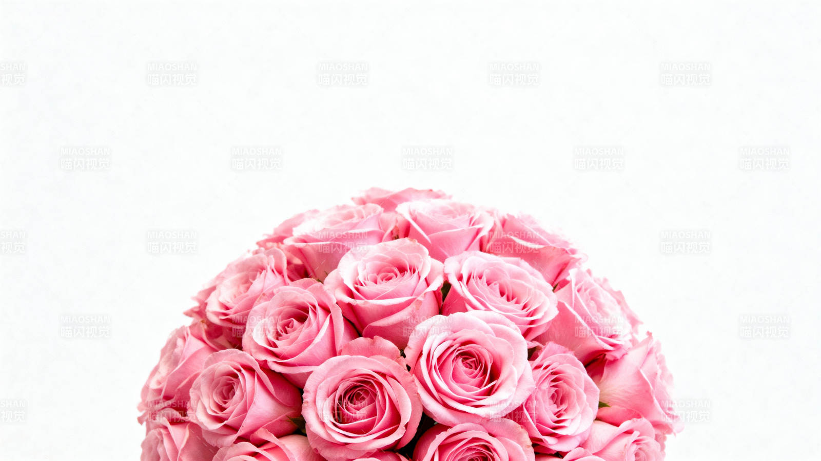 粉红玫瑰花束图片