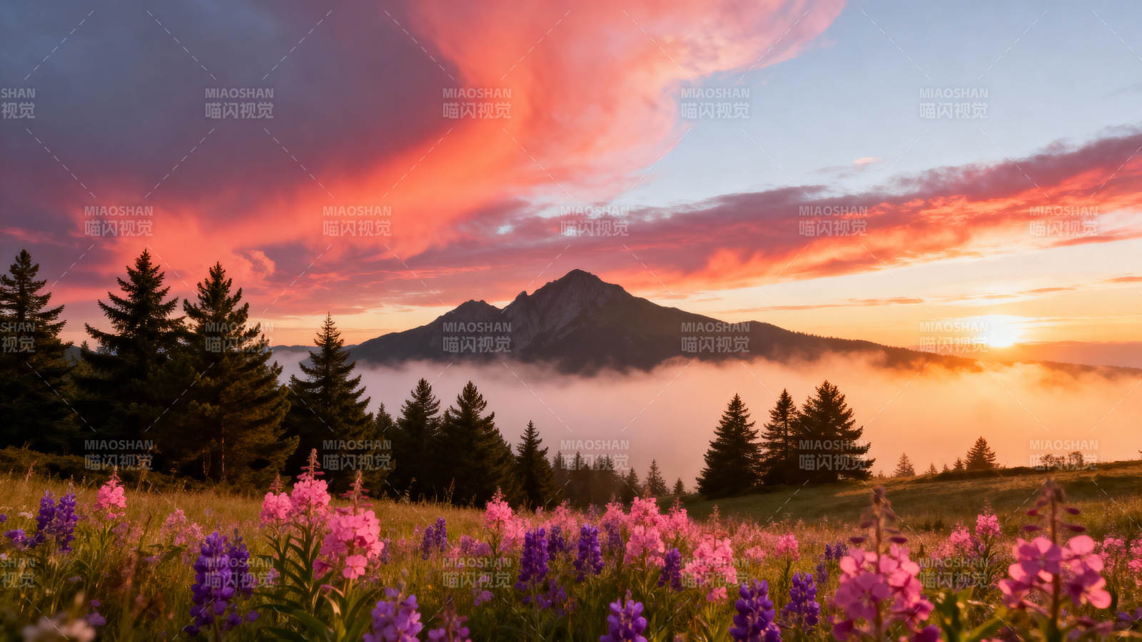 山间花海日出图片