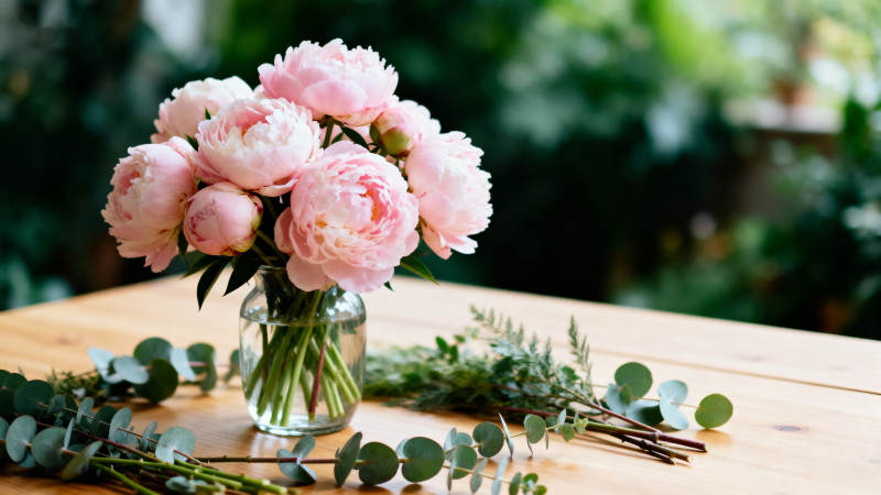 粉玫瑰静谧绽放图片