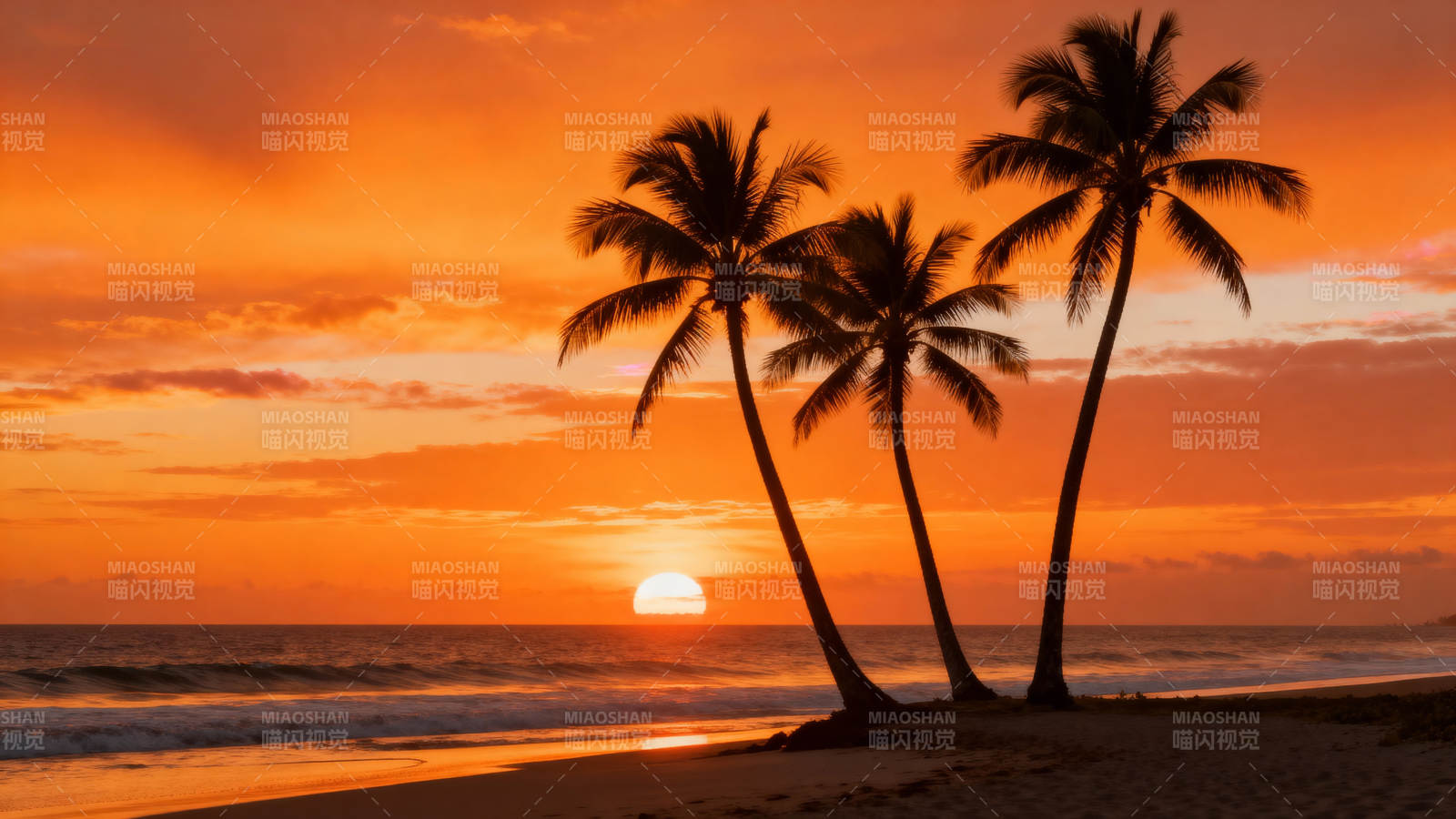 椰林日落美景图片