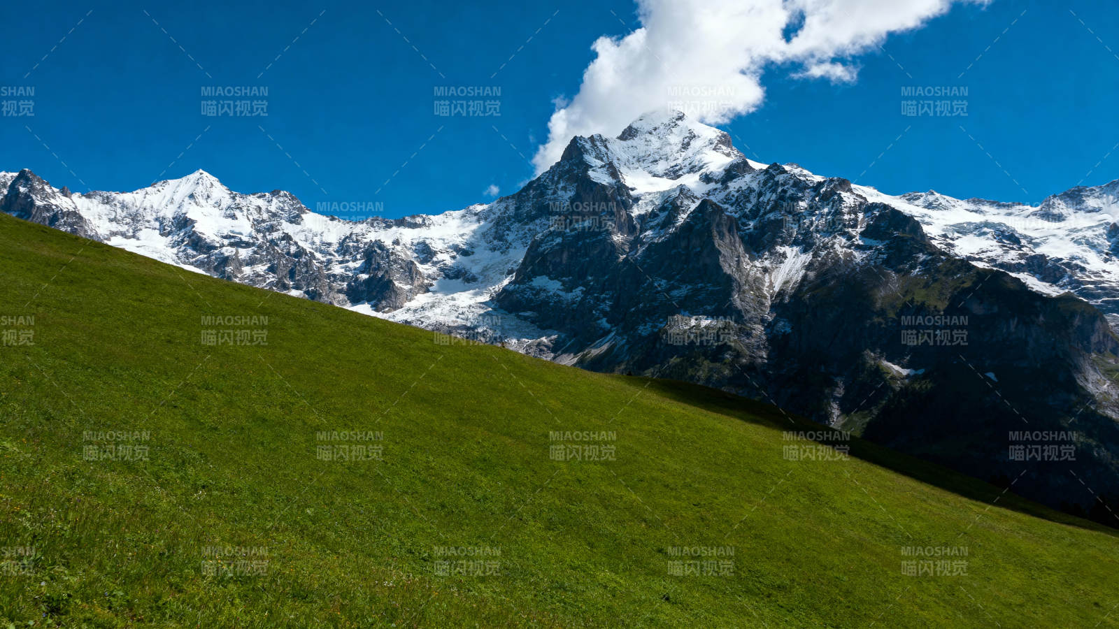 雪山绿坡映蓝天图片