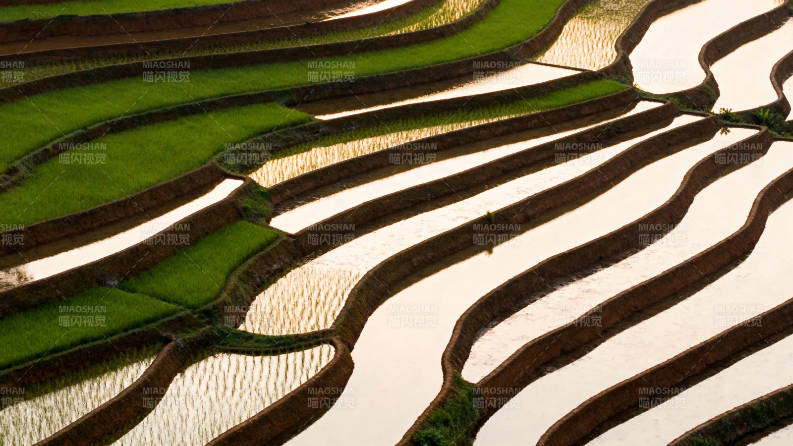 梯田如画图片