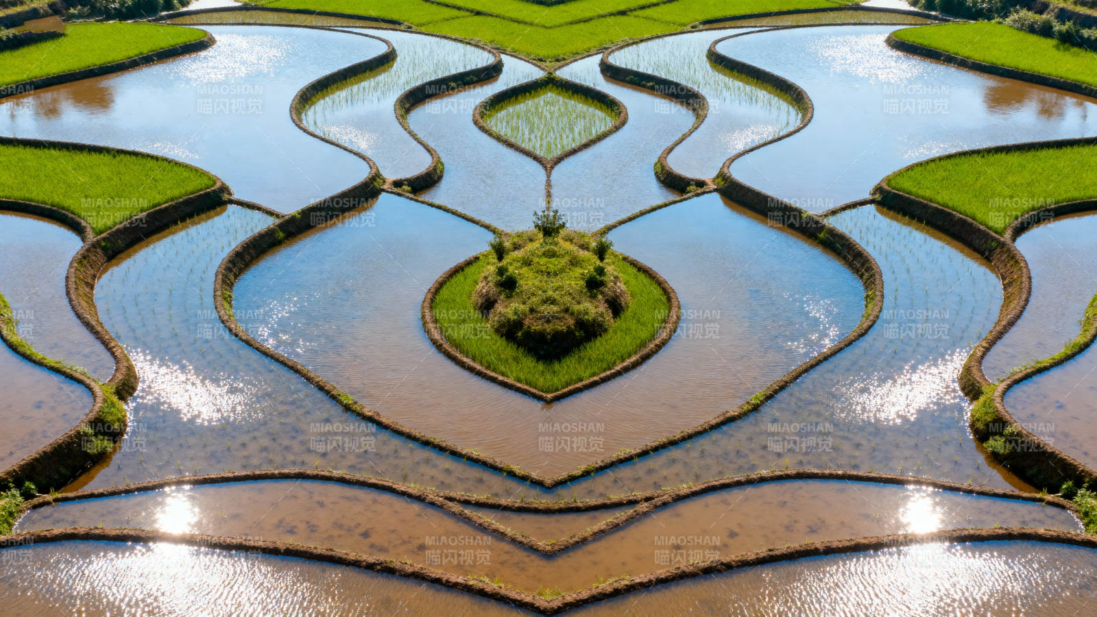 梯田镜像之美图片