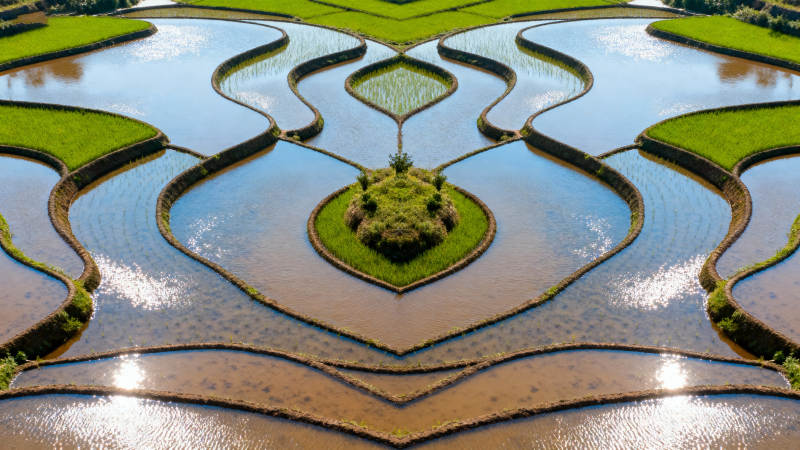 梯田镜像之美图片