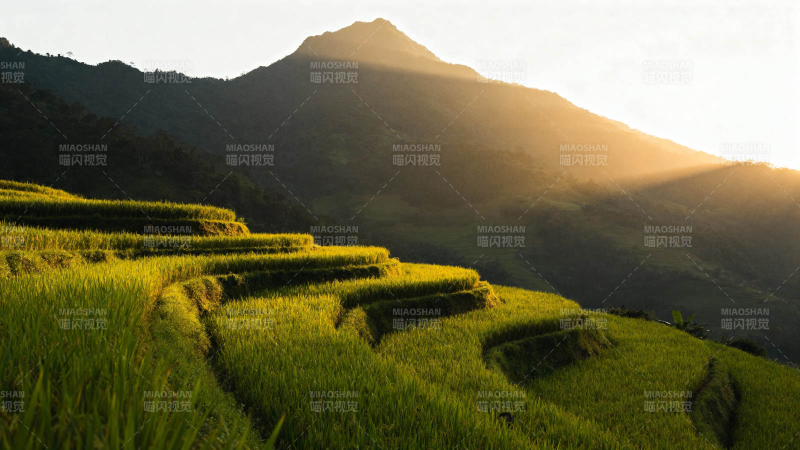 梯田晨曦山影图片
