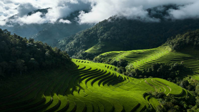 梯田云海山景图片