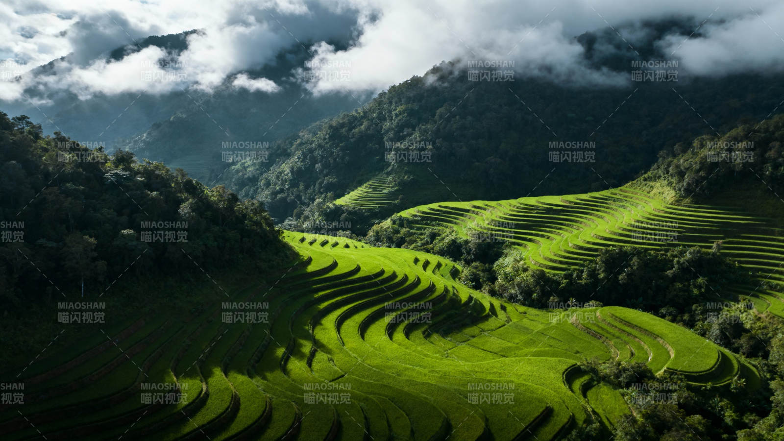 梯田云海山景图片